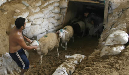 Gaza’s tunnel graveyards