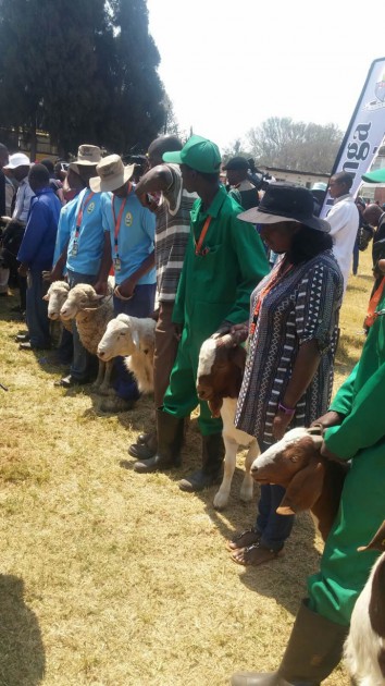 Farmers with their goats. Pic by Lloyd Gumbo
