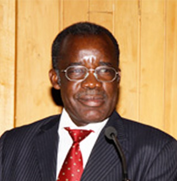Professor Gudyanga