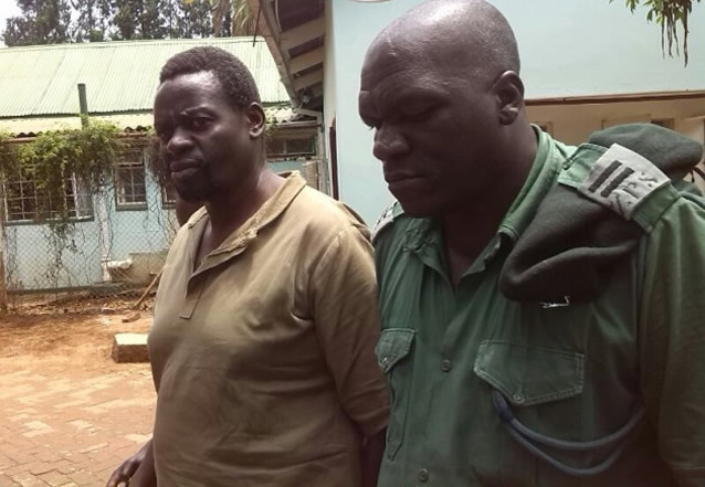 Gumbura must face the music, says prosecutor