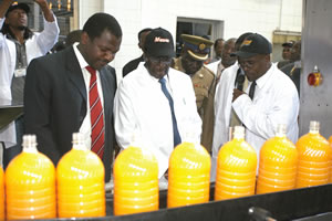 Schweppes records 33pc volume growth for 2011