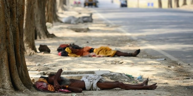 Heatwave kills over 500