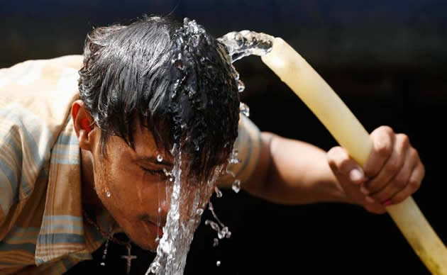 Heatwave death toll hits 800
