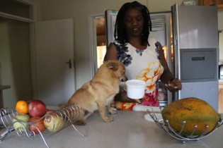 Henrietta and Lala