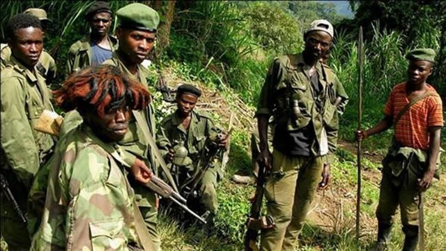 hutu rebels