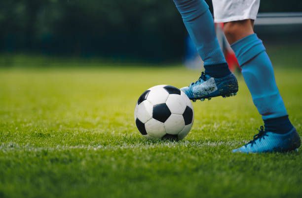 Zim, Cameroon friendly called off