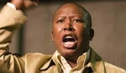 Malema’s EFF to contest 2014 poll