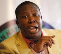 Malema disciplinary hearing postponed to next month