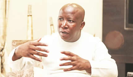 Malema order granted