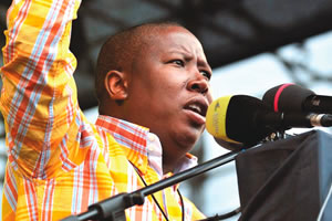 Malema asks to stay in ANC despite expulsion
