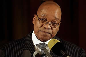 Zuma team seeks update on Constitution