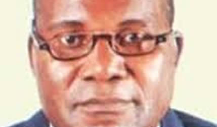 Provincial food committees launched