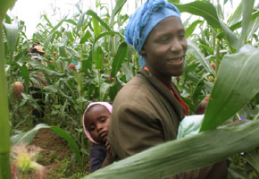 Land reform alleviating poverty: President