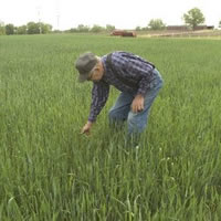 Ex-farmer loses claims case in SA
