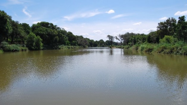 SA water experts clear Limpopo River water from contamination
