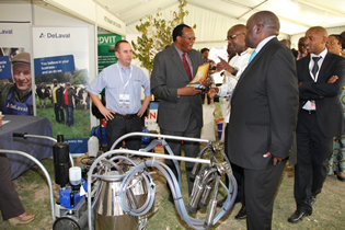 Govt pledges to support dairy industry