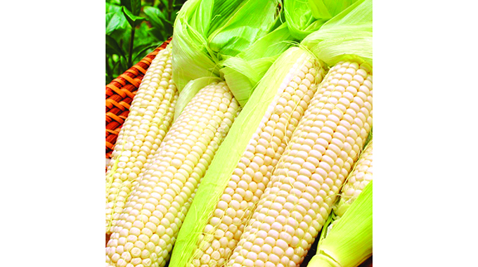 Farmers in value addition drive