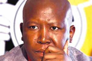 ‘Malema’s suspension strategic’