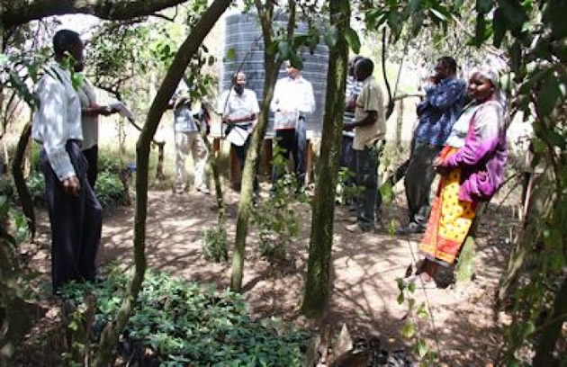 24 countries in  joint reforestation
