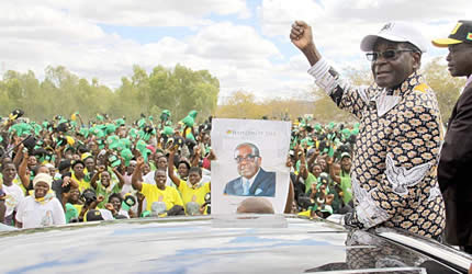 President Mugabe an oasis