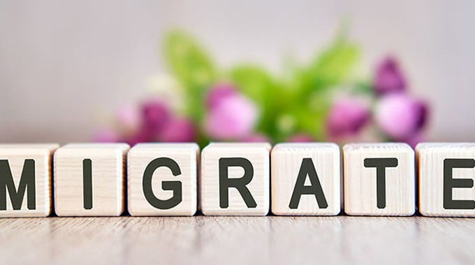 Why do some Zimbabweans migrate to the UK?
