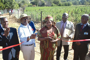 Call to intensify rural development