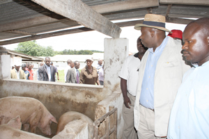 Boost for Ernest Kadungure project