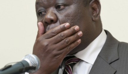 Sanctions cost Zim US$42bn