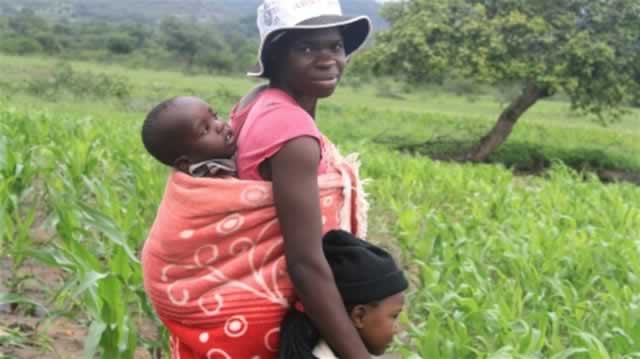 A third of Zimbabwean women have experienced physical violence at the hands of their spouse or partner. - (Picture by Jaspreet Kindra/IRIN)