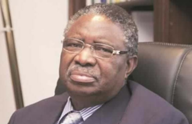 Envoy calls on VP Mphoko
