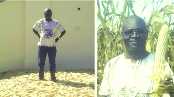 NeSeed Co, murimi unokohwa