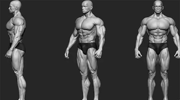 Mufakose hosts bodybuilding, modelling contest