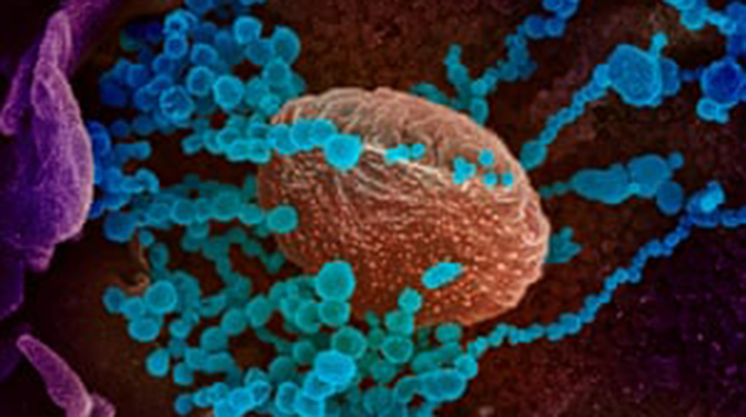 New antibody drug joins Oxford University trial of Coronavirus treatments