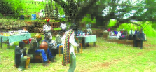 Tale behind Indaba Tree and Nurses Memorial