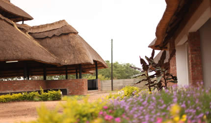 Ochi: Home away from home
