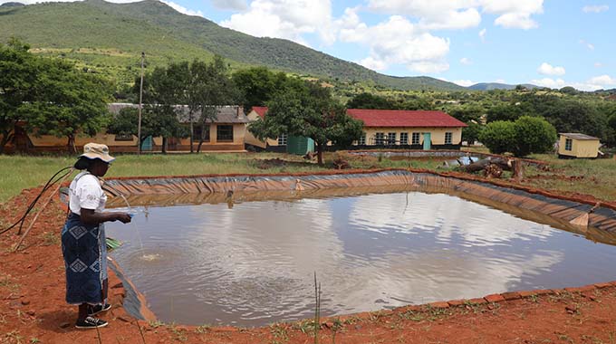 School’s fish project to fund computer lab