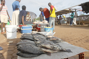 Typhoid hits over 600 Harare residents