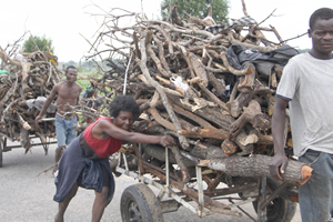 Maputo threatens to switch off Zim