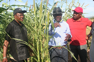 Binga set for facelift with irrigation scheme