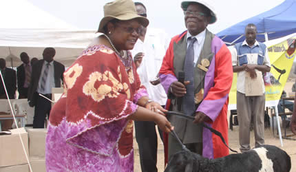 VP Mujuru launches Tonga programme