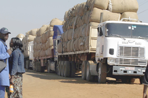Government announces cotton price