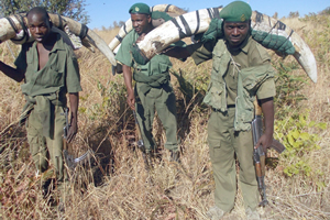page4poachers3