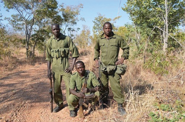 Poachers killed in shoot-out