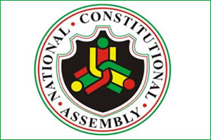 ‘New Constitution’s principal drafters must be fired’