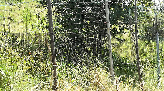 Illegal miners invade Eldorado Gold Mine