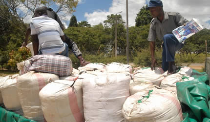 Police seize 2 140kg mbanje