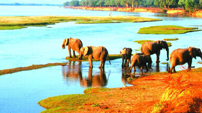 Mana Pools, the grand spectacle