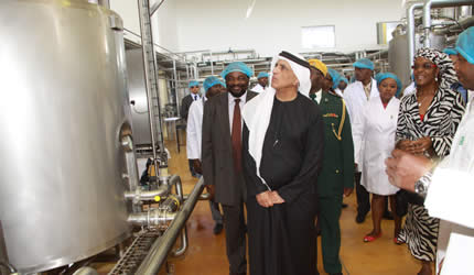 Sheikh hails Amai Mugabe’s work