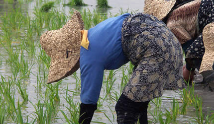 Limits to climate change adaptation