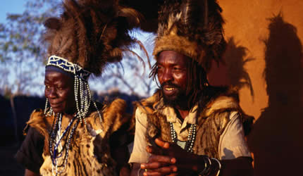‘Elevate traditional science’